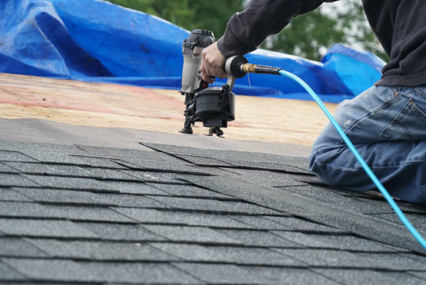 Roof Gutter Cleaning in Hickman, KY