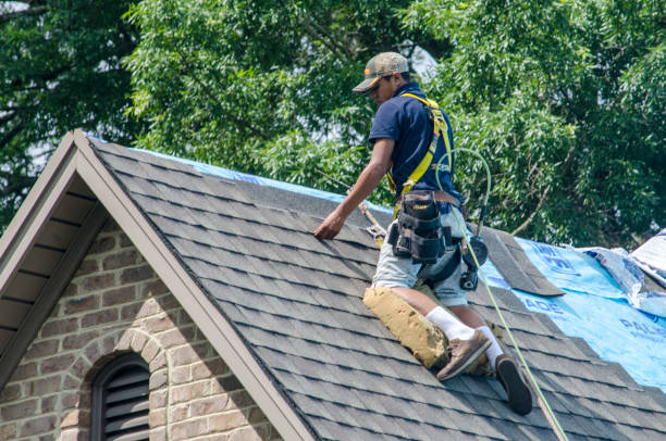 Best Metal Roofing Contractor  in Hickman, KY